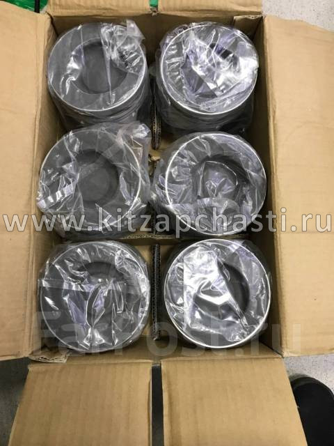 Поршневая группа WD615 WP10 Foton Auman WD615E2-3A-1